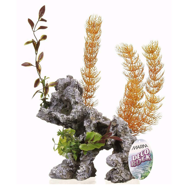 Decoração “DECO ROCK” com plantas