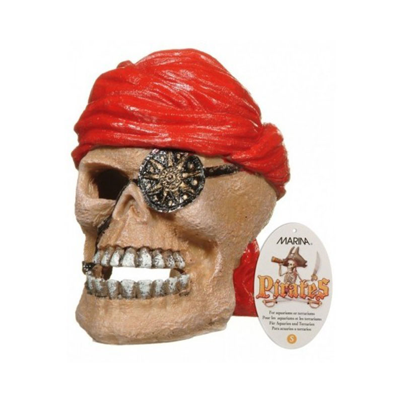 Decoração em Resina – Crânio Pirata