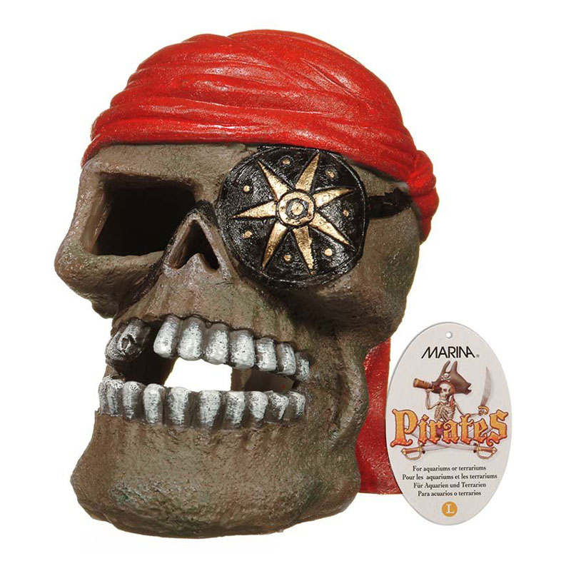 Decoração em Resina – Crânio Pirata