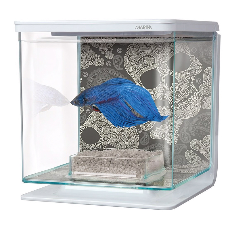 Aquário KIT Bettas Skull 2L