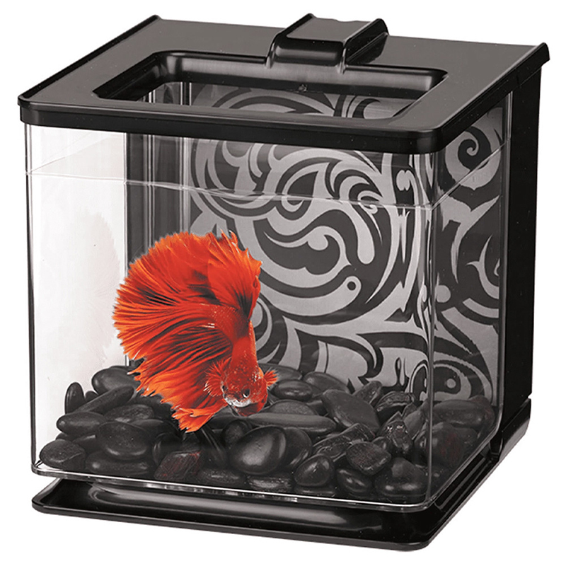 Aquário KIT Bettas “EZ Care” 2.5L