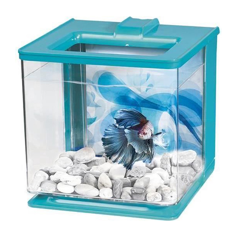 Aquário KIT Bettas “EZ Care” 2.5L