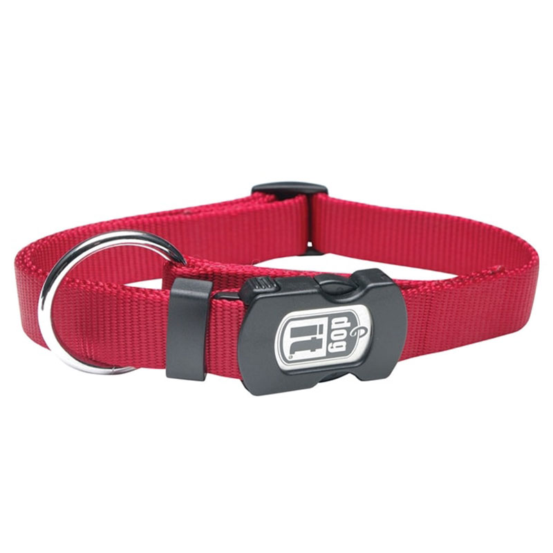 Coleira Nylon Ajustável 10MMx25-40CM
