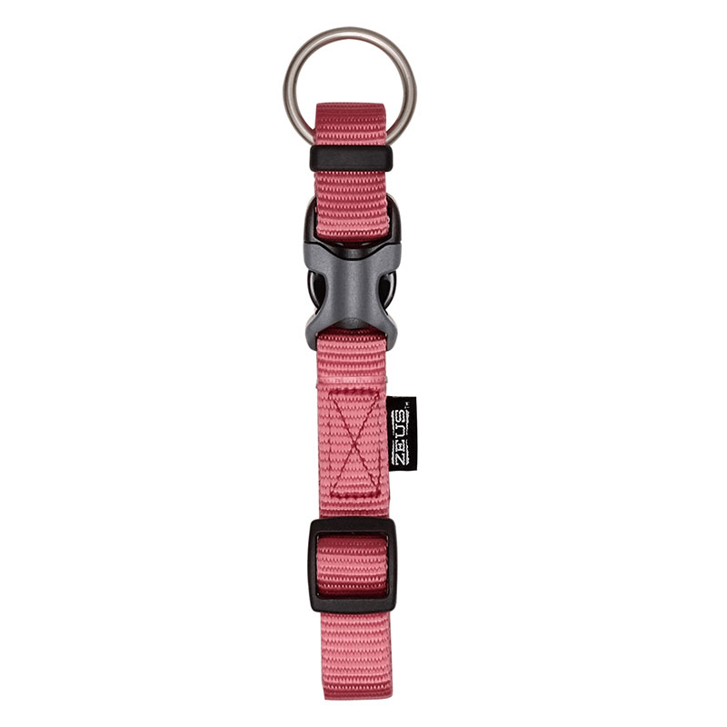 Coleira Nylon 10MMx22-30CM