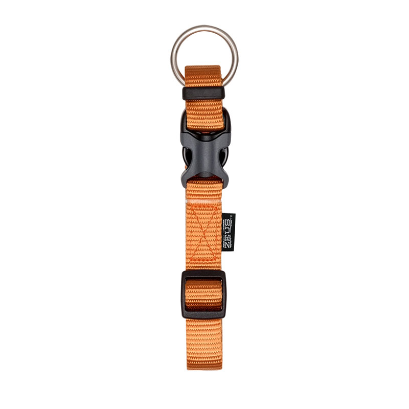 Coleira Nylon 15MMx28-40CM