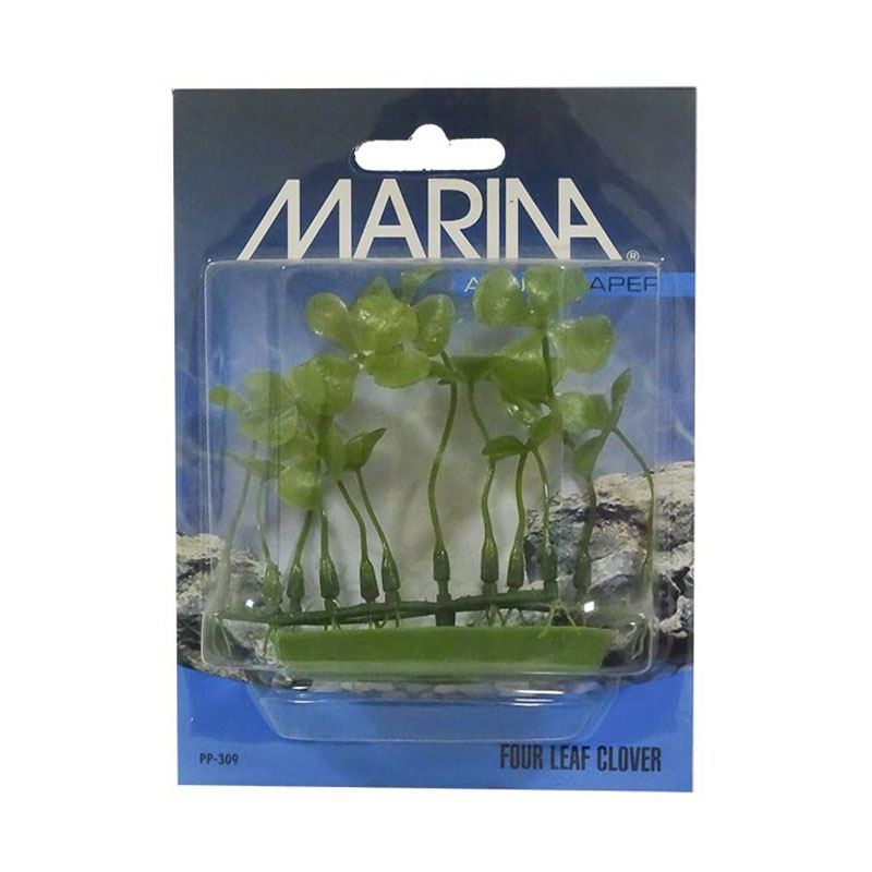 Planta 7CM Four Leaf Clover