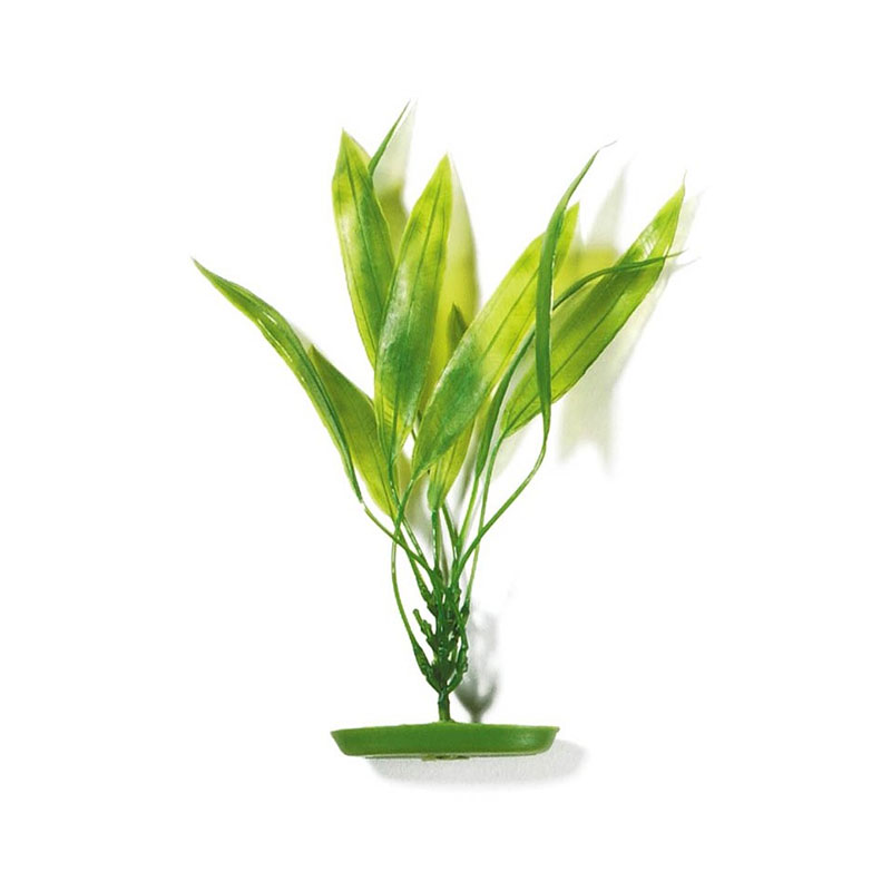 Planta 12,5CM Amazon Sword
