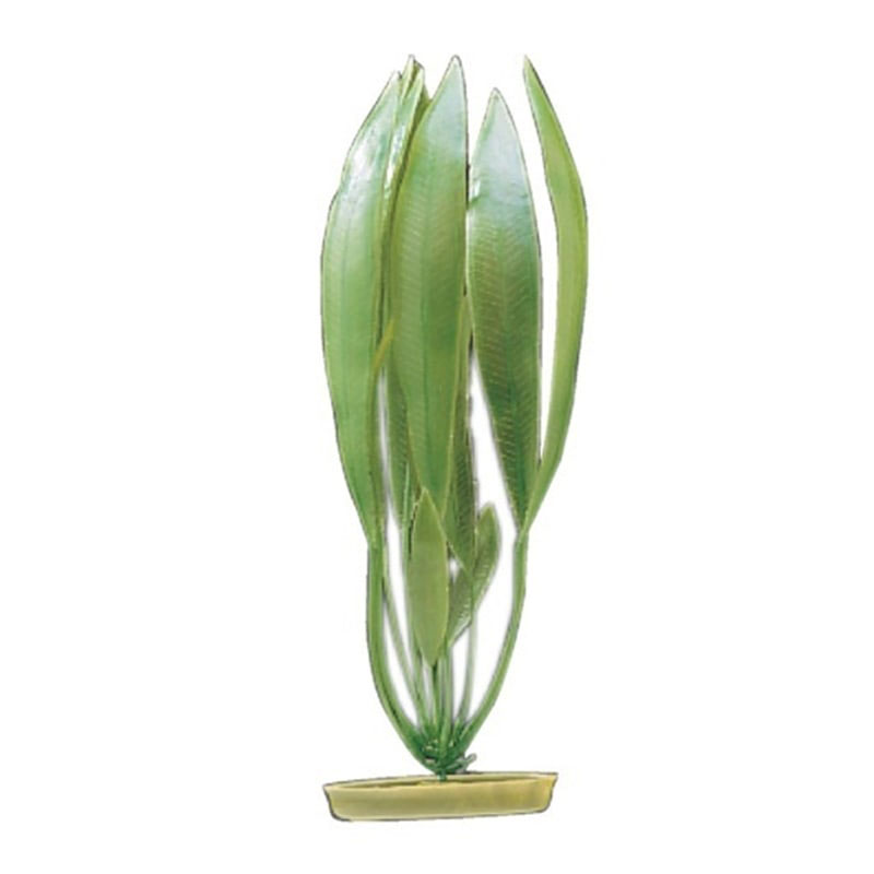 Planta 20CM Amazon Sword