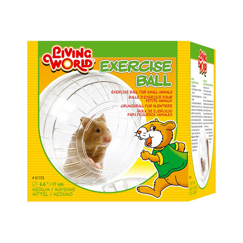 Bola Exercício com Suporte 17CM