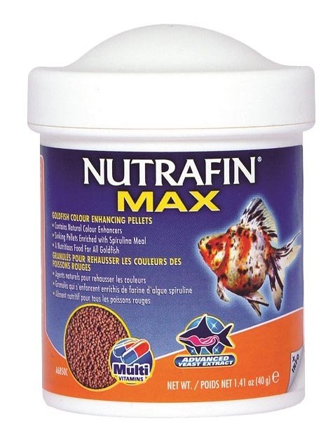 Granulado Cor Água Fria 100ml 40g