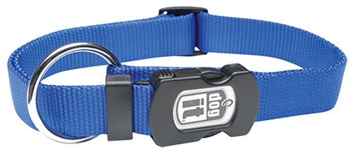 Coleira Nylon Ajustável 25MMx45-66CM