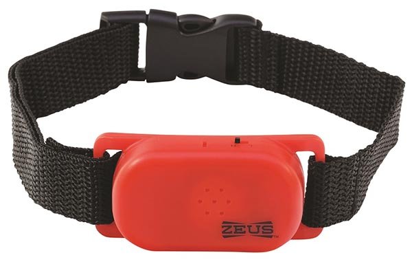 Coleira RANGER Anti-latido Cães Pequenos