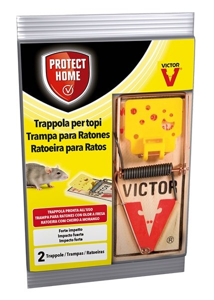 SBM - Ratoeira Ratos 2UN