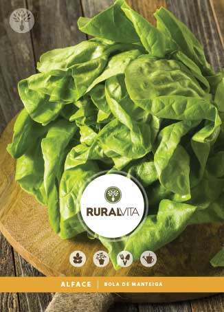 RURAL VITA - Semente Alface Bola Manteiga