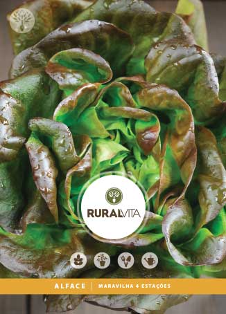 RURAL VITA - Semente Alface Maravilha 4 Estacões