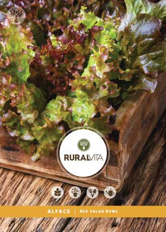 RURAL VITA - Semente Alface Red Salad Bowl