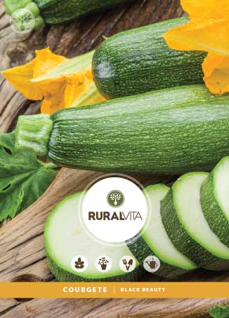 RURAL VITA - Semente Curgete Black Beauty