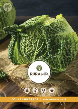 RURAL VITA - Semente Couve Lombarda Aubervilliers 1/2 Pé