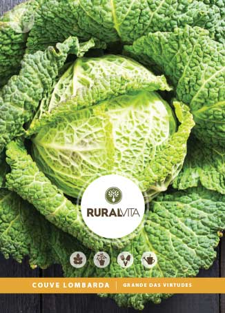 RURAL VITA - Semente Couve Lombarda Grande das Virtudes