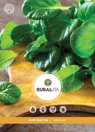 RURAL VITA - Semente Espinafre Viroflay