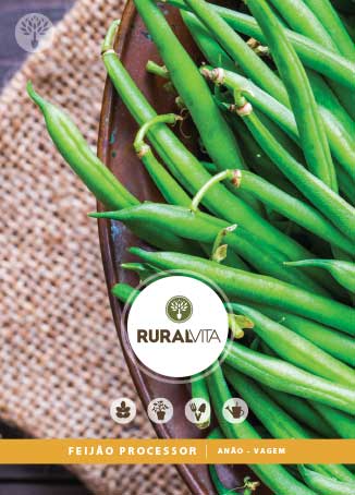 RURAL VITA - Semente Feijão Processor Anão Vagem