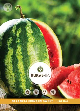 RURAL VITA - Semente Melancia Crimson Sweet Seleção
