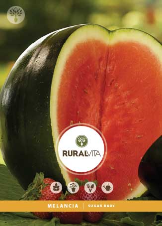 RURAL VITA - Semente Melancia Sugar Baby