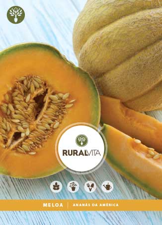 RURAL VITA - Semente Meloa Ananas