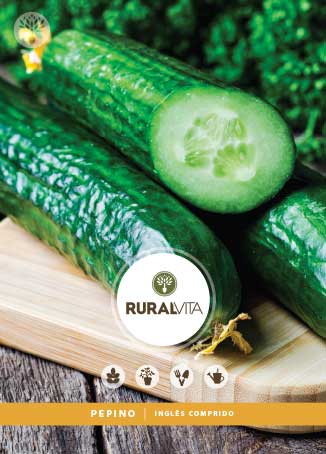 RURAL VITA - Semente Pepino Inglês Comprido