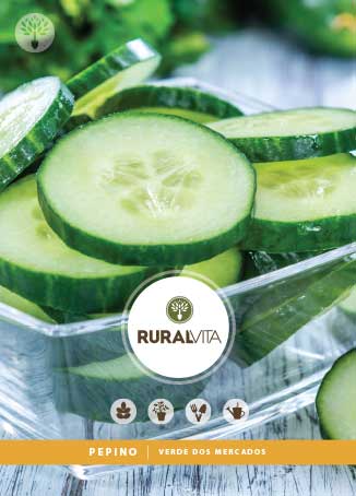 RURAL VITA - Semente Pepino Verde dos Mercados