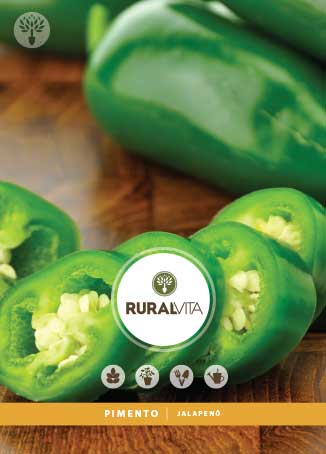 RURAL VITA - Semente Pimenta Jalapeño