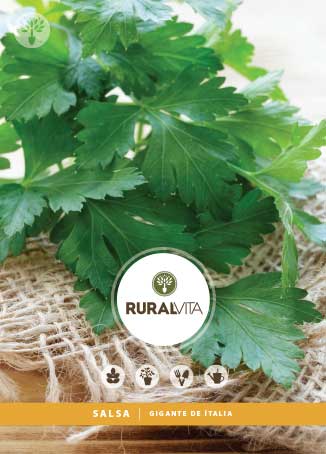 RURAL VITA - Semente Salsa Gigante de Itália