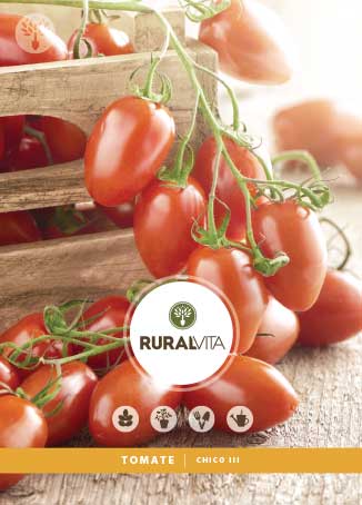 RURAL VITA - Semente Tomate Chico Iii