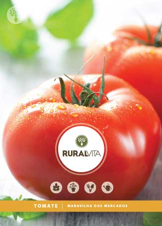 RURAL VITA - Semente Tomate Maravilha dos Mercados