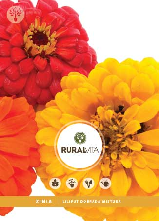 RURAL VITA - Semente Zinia Liliput Dobrada Mistura