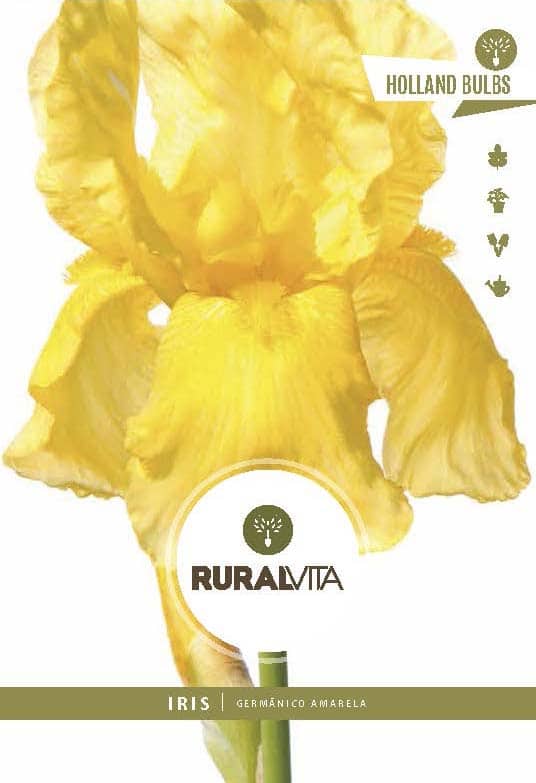 RURAL VITA - Semente Íris Germânico Amarelo