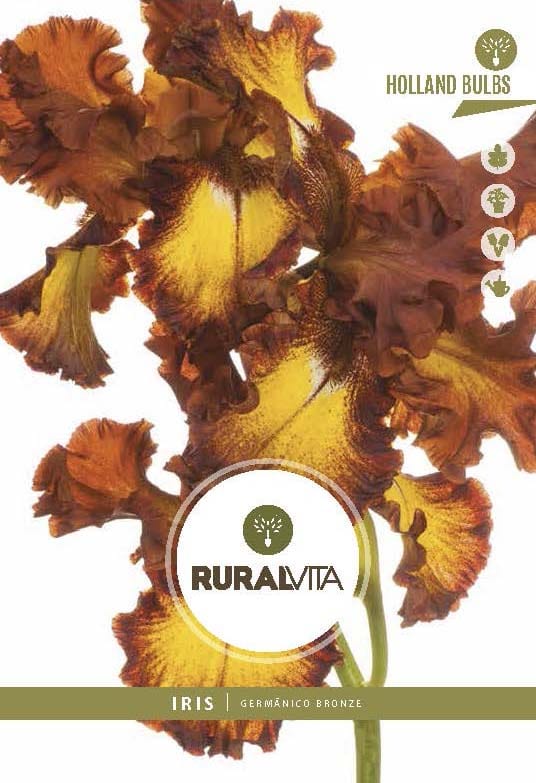 RURAL VITA - Semente Íris Germânico Bronze