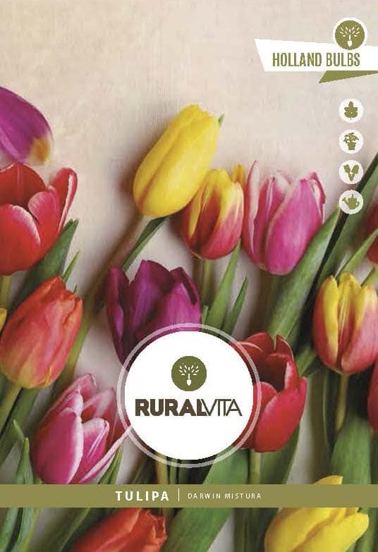RURAL VITA - Semente Tulipas Darwin Mistura