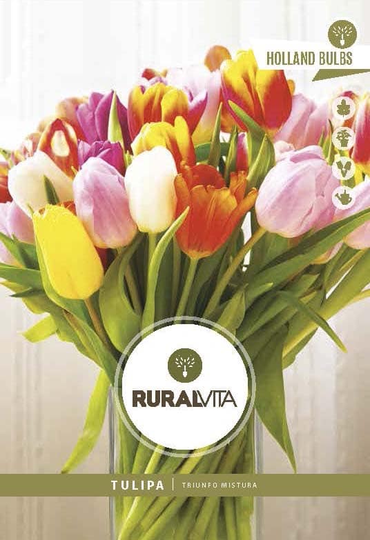 RURAL VITA - Semente Tulipas Triunfo Mistura