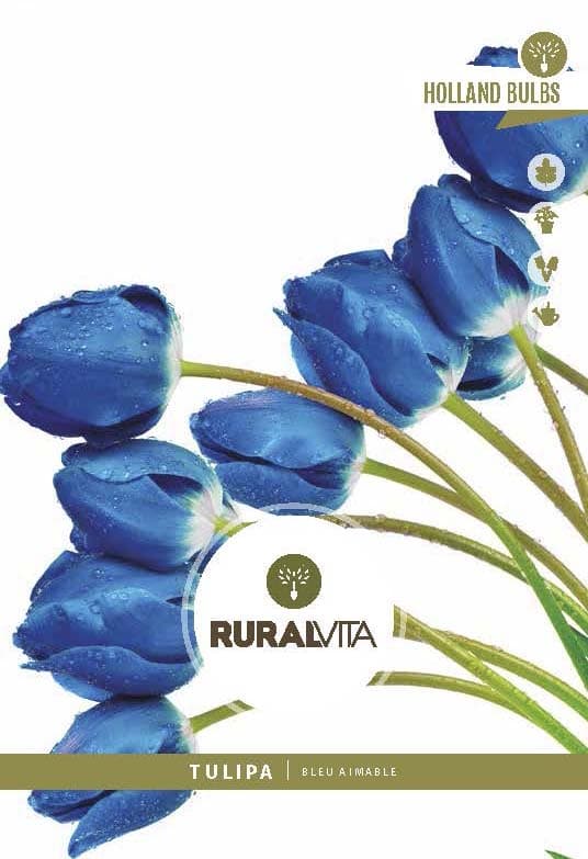 RURAL VITA - Semente Tulipas Bleu Aimable - Azul