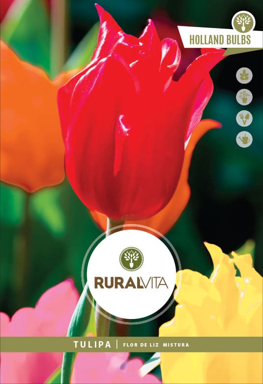 RURAL VITA - Semente Tulipas Flor De Liz Mistura