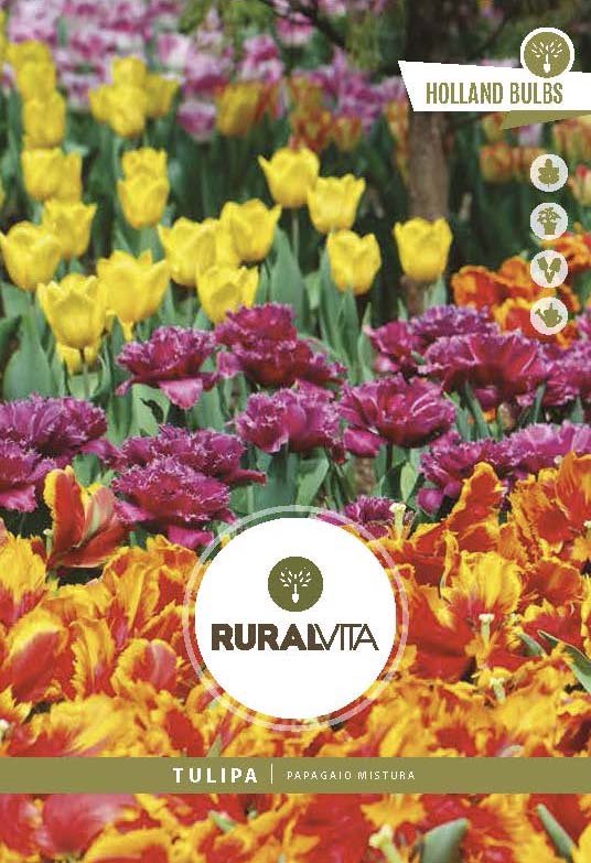 RURAL VITA - Semente Tulipas Papagaio Mistura