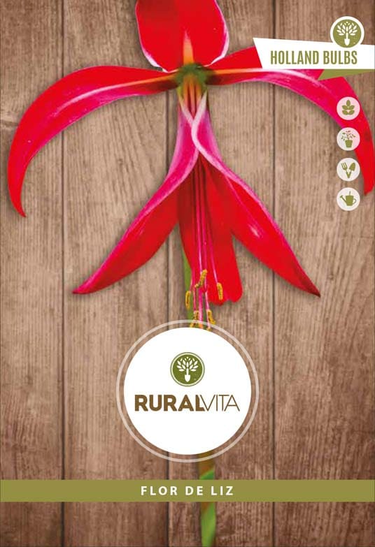 RURAL VITA - Semente Flor De Liz