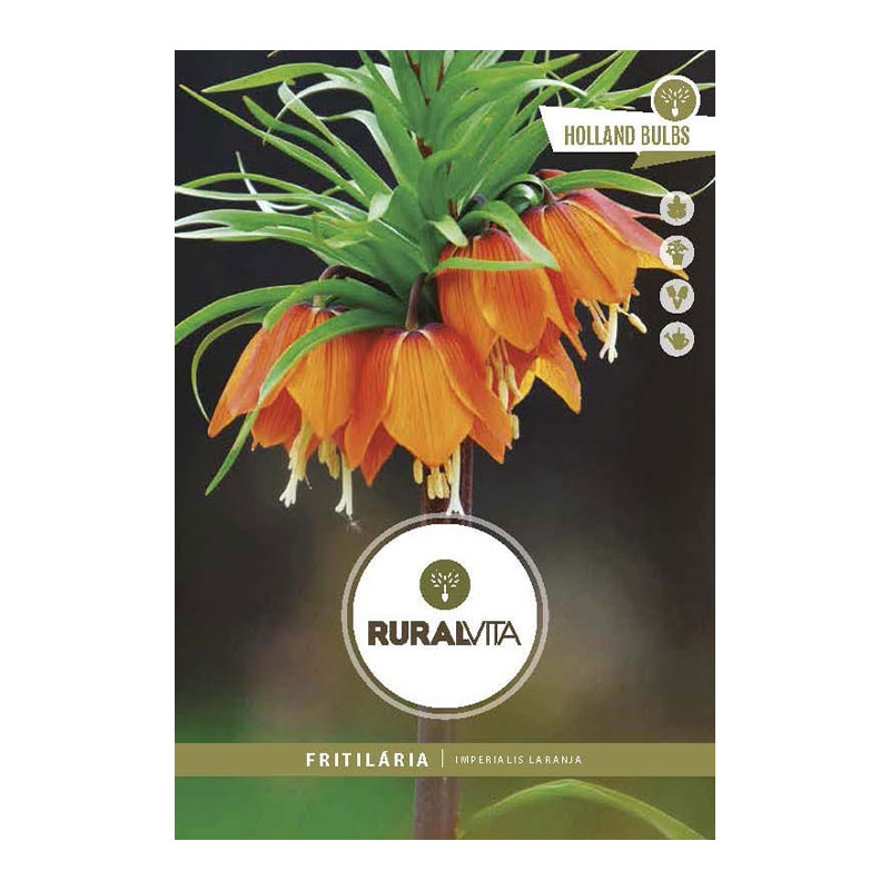 RURAL VITA - Bolbo Fritillaria Imperial Laranja