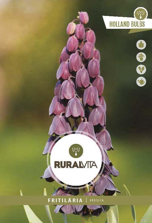 RURAL VITA - Semente Bolbo Fritillaria Persica