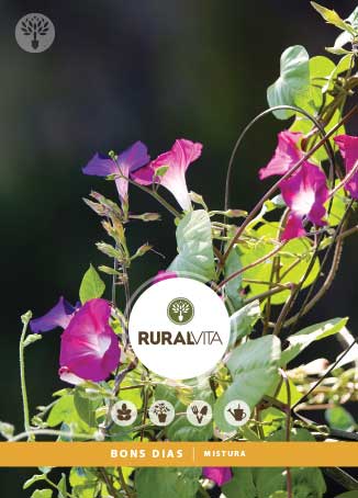 RURAL VITA - Semente Bons Dias Mistura