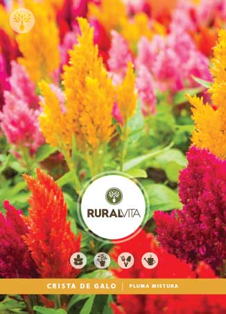 RURAL VITA - Semente Crista de Galo Pluma Mistura