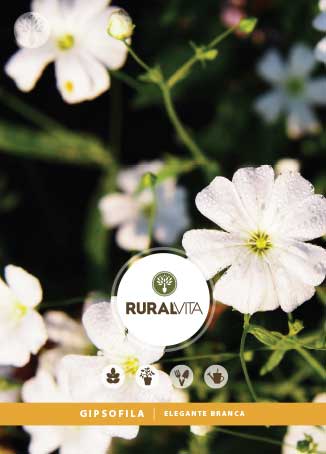 RURAL VITA - Semente Gipsofila Elegante Branca