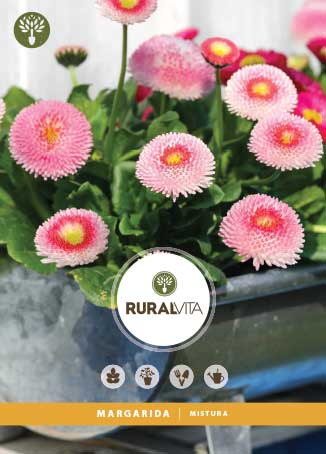 RURAL VITA - Semente Margarida Mistura