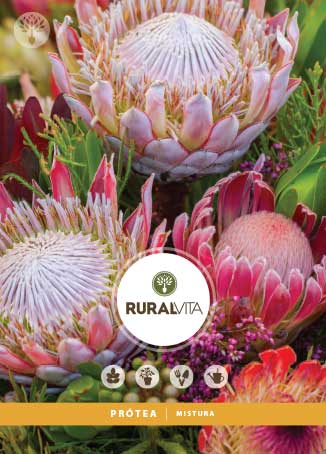 RURAL VITA - Semente Protea Mistura